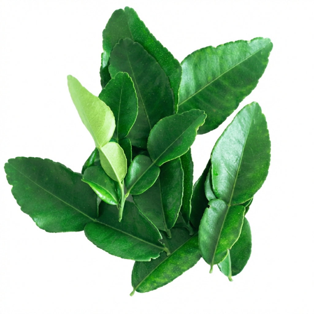 DELICIOSAS Gomitas Naturales para Dormir