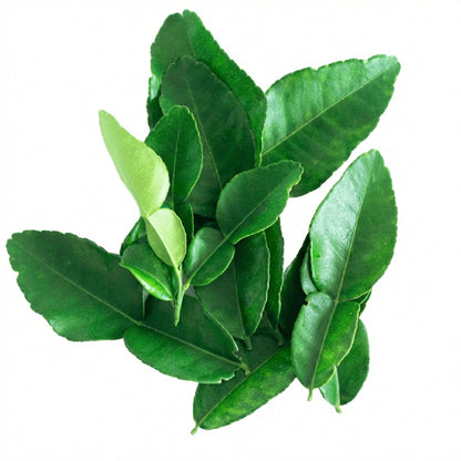 DELICIOSAS Gomitas Naturales para Dormir