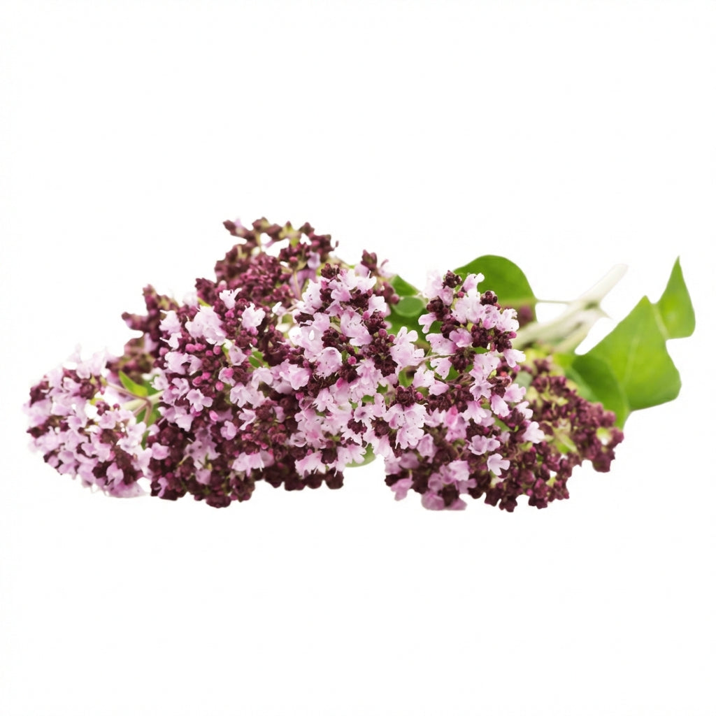 DELICIOSAS Gomitas Naturales para Dormir